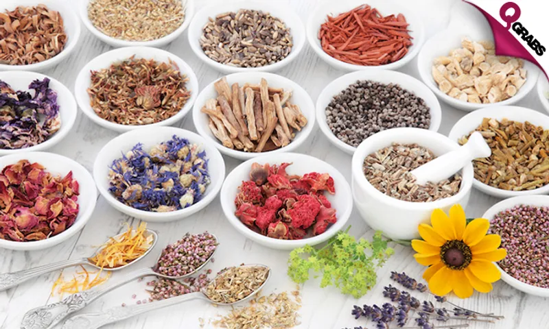 Master Herbalist Course!